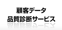 顧客データ品質診断サービス